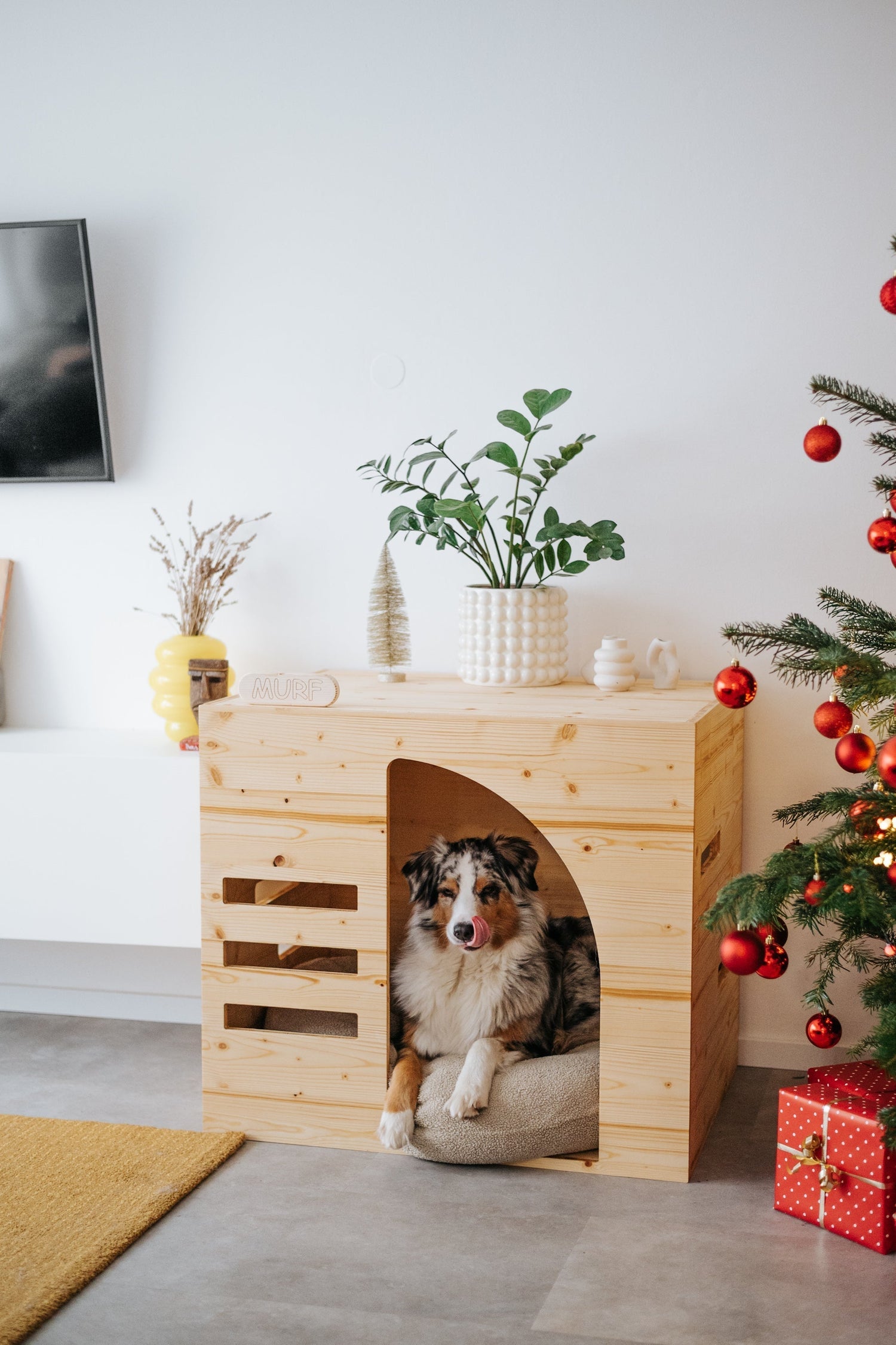 How design and life with dogs come together