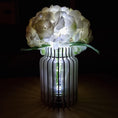 Bild in Galerie-Betrachter laden, LED svetleča lesena vaza - Bottle