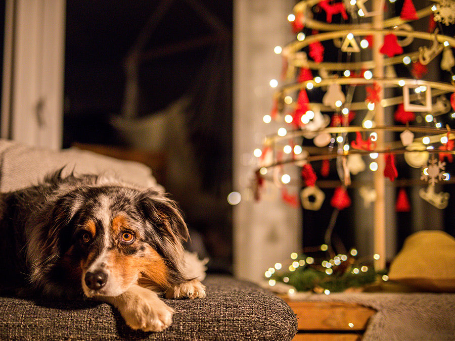 Leseno dekorativno božično drevo Spira