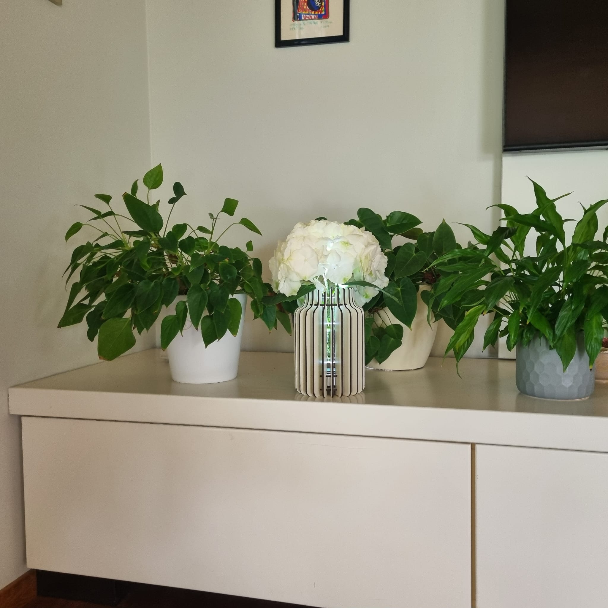 LED svetleča lesena vaza - Bottle