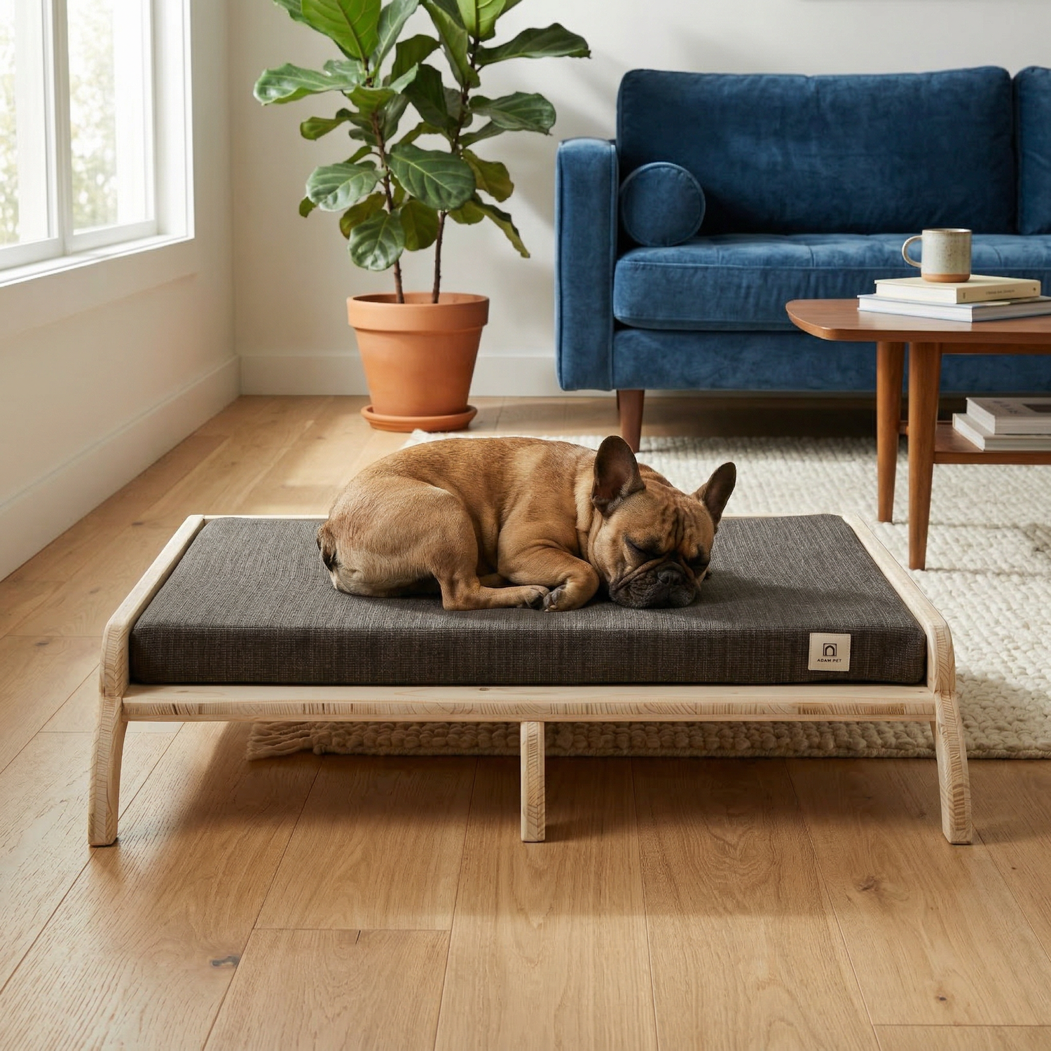 Wooden dog bed