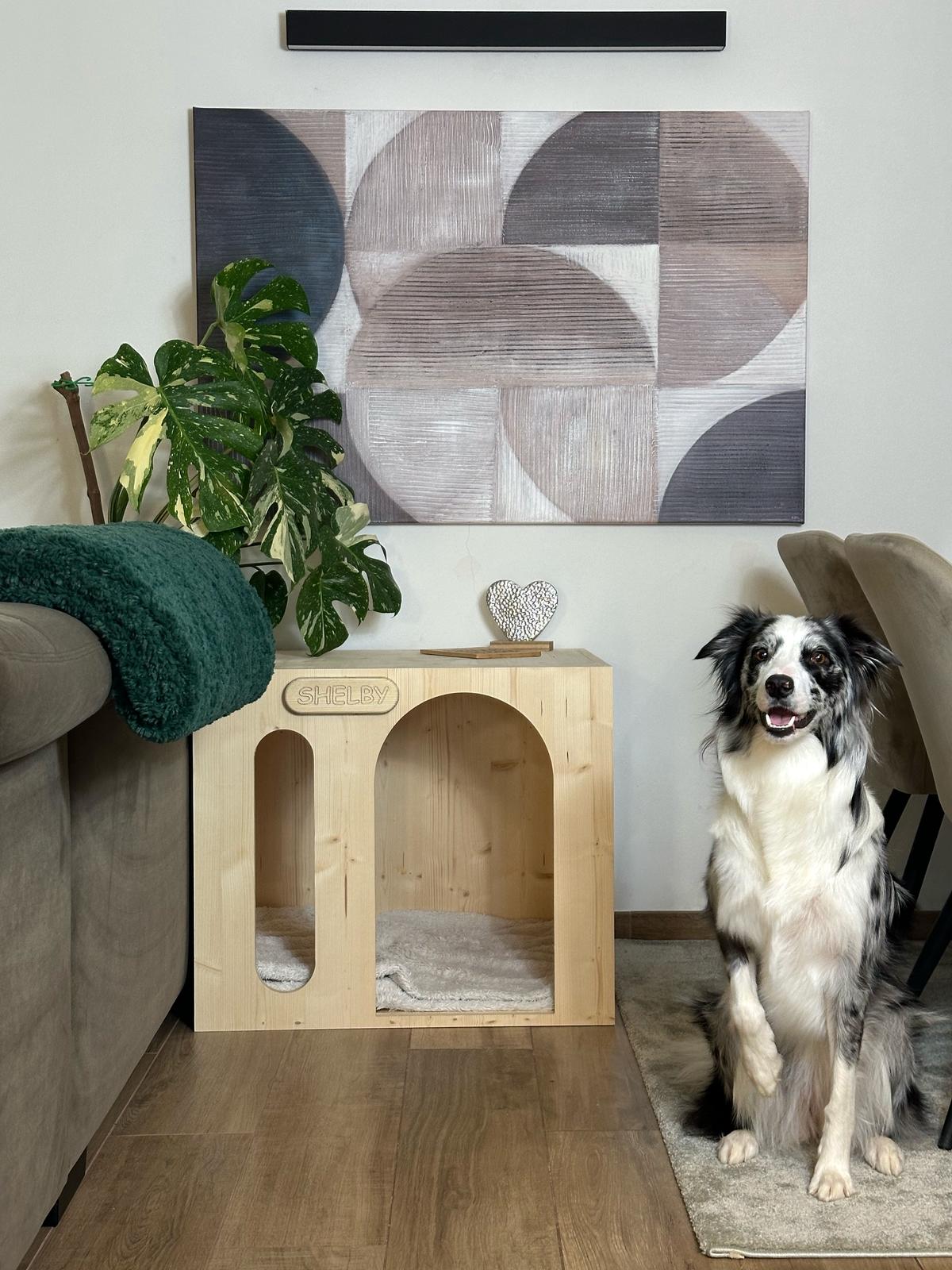 Pasja hišica Sanctury