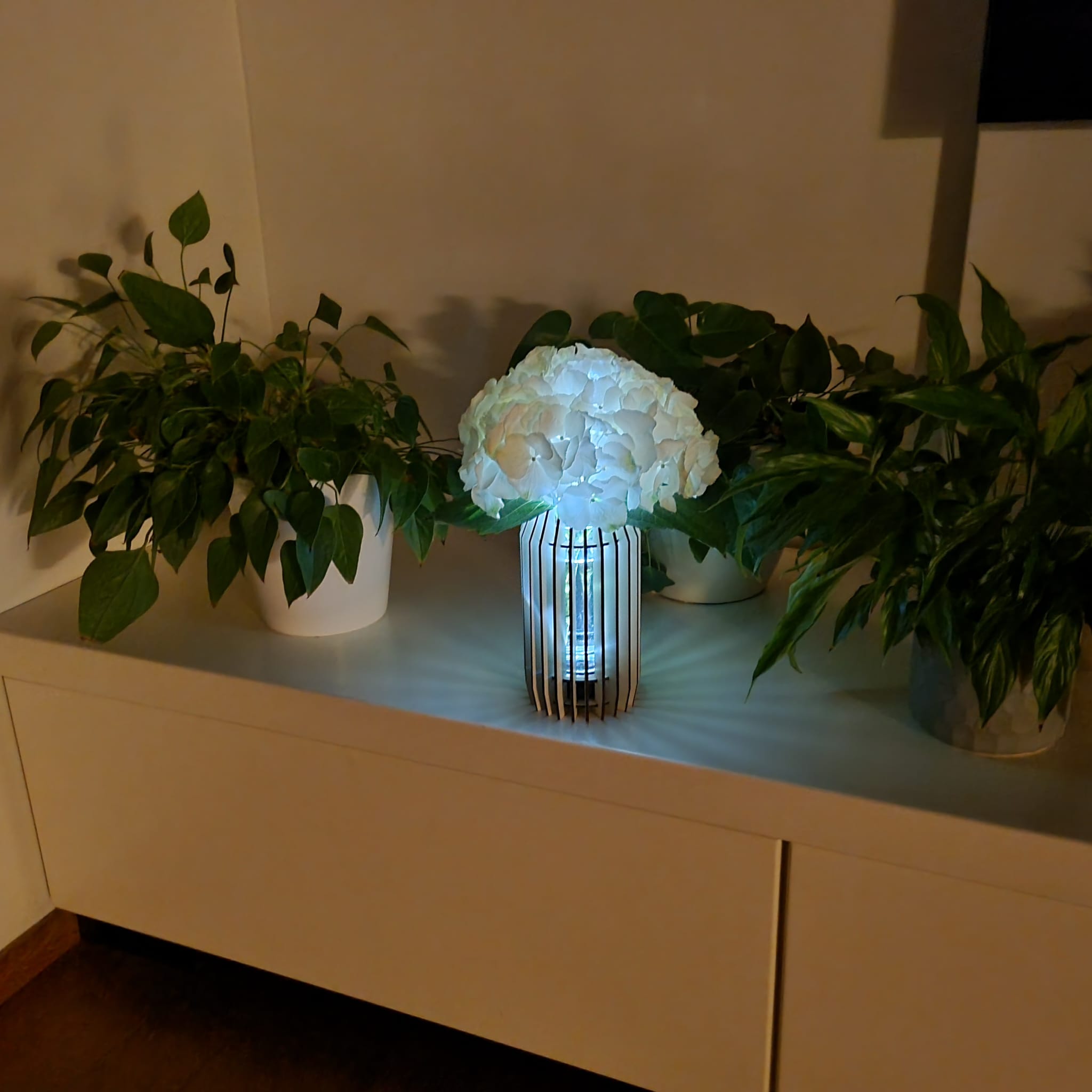 LED svetleča lesena vaza - Circular vase